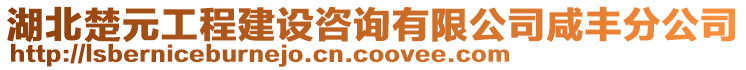 湖北楚元工程建設(shè)咨詢有限公司咸豐分公司