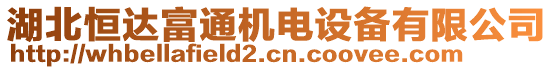 湖北恒達富通機電設備有限公司