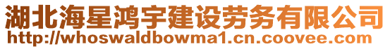 湖北海星鴻宇建設(shè)勞務(wù)有限公司