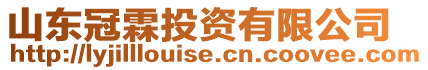 山東冠霖投資有限公司