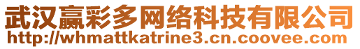 武漢贏彩多網(wǎng)絡(luò)科技有限公司