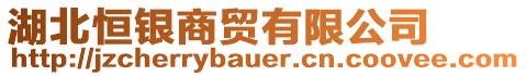 湖北恒銀商貿(mào)有限公司
