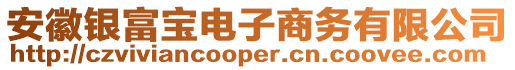 安徽銀富寶電子商務(wù)有限公司