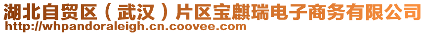 湖北自貿(mào)區(qū)（武漢）片區(qū)寶麒瑞電子商務(wù)有限公司