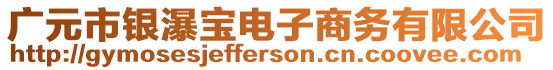 廣元市銀瀑寶電子商務(wù)有限公司