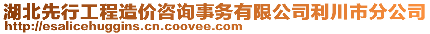 湖北先行工程造價(jià)咨詢事務(wù)有限公司利川市分公司