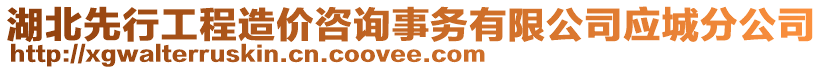 湖北先行工程造價(jià)咨詢事務(wù)有限公司應(yīng)城分公司