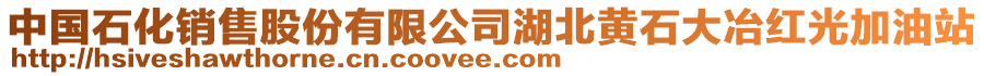 中國(guó)石化銷售股份有限公司湖北黃石大冶紅光加油站