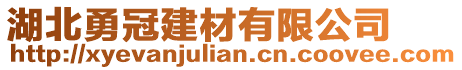 湖北勇冠建材有限公司