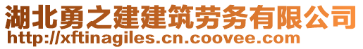 湖北勇之建建筑勞務有限公司