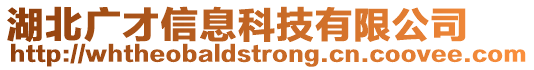 湖北廣才信息科技有限公司