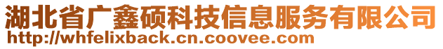 湖北省廣鑫碩科技信息服務(wù)有限公司