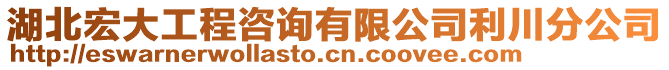 湖北宏大工程咨詢有限公司利川分公司