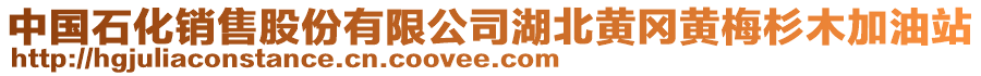 中國石化銷售股份有限公司湖北黃岡黃梅杉木加油站