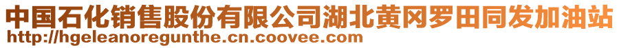 中國(guó)石化銷(xiāo)售股份有限公司湖北黃岡羅田同發(fā)加油站