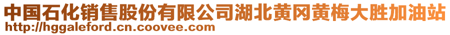 中國石化銷售股份有限公司湖北黃岡黃梅大勝加油站