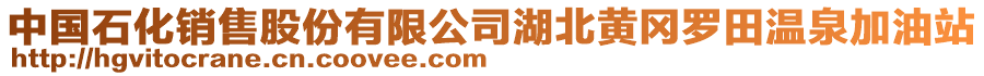 中國石化銷售股份有限公司湖北黃岡羅田溫泉加油站