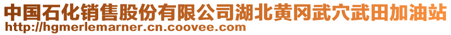 中國(guó)石化銷(xiāo)售股份有限公司湖北黃岡武穴武田加油站