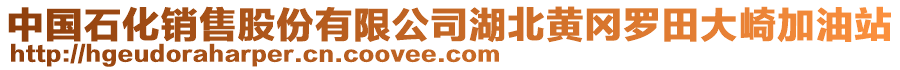 中國(guó)石化銷(xiāo)售股份有限公司湖北黃岡羅田大崎加油站