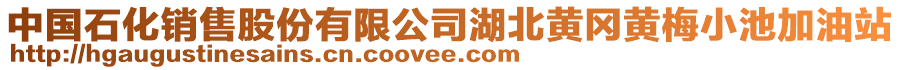 中國石化銷售股份有限公司湖北黃岡黃梅小池加油站