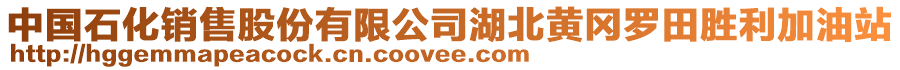 中國石化銷售股份有限公司湖北黃岡羅田勝利加油站