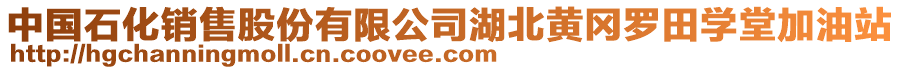 中國(guó)石化銷售股份有限公司湖北黃岡羅田學(xué)堂加油站