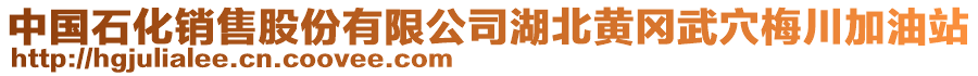 中國石化銷售股份有限公司湖北黃岡武穴梅川加油站