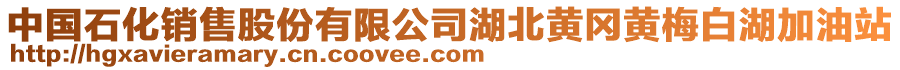 中國(guó)石化銷售股份有限公司湖北黃岡黃梅白湖加油站