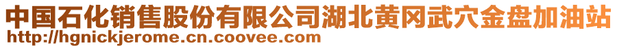 中國(guó)石化銷(xiāo)售股份有限公司湖北黃岡武穴金盤(pán)加油站