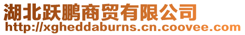 湖北躍鵬商貿(mào)有限公司