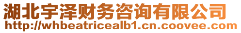 湖北宇澤財務(wù)咨詢有限公司