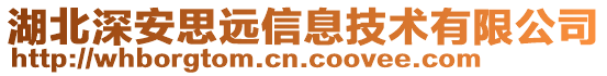 湖北深安思遠信息技術有限公司