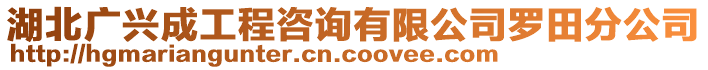 湖北廣興成工程咨詢有限公司羅田分公司