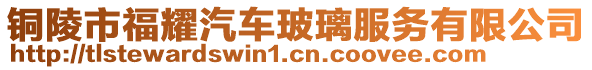 铜陵市福耀汽车玻璃服务有限公司