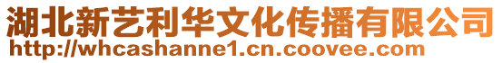 湖北新藝?yán)A文化傳播有限公司