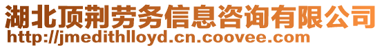 湖北頂荊勞務(wù)信息咨詢有限公司