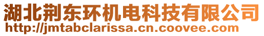 湖北荊東環(huán)機電科技有限公司