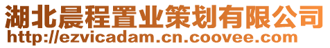 湖北晨程置业策划有限公司