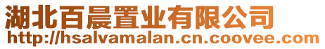 湖北百晨置業(yè)有限公司