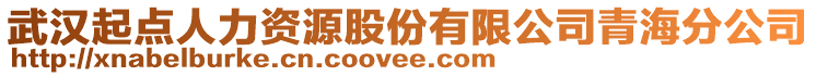 武漢起點人力資源股份有限公司青海分公司