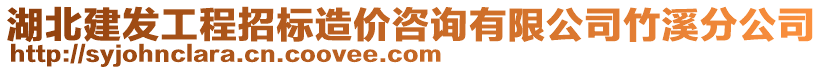 湖北建發(fā)工程招標(biāo)造價(jià)咨詢有限公司竹溪分公司