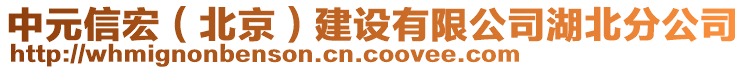 中元信宏（北京）建設(shè)有限公司湖北分公司