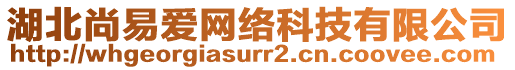 湖北尚易愛(ài)網(wǎng)絡(luò)科技有限公司