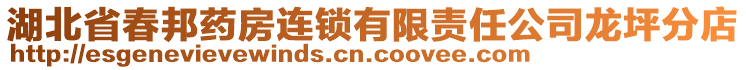 湖北省春邦藥房連鎖有限責任公司龍坪分店