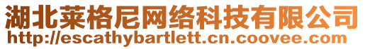 湖北莱格尼网络科技有限公司