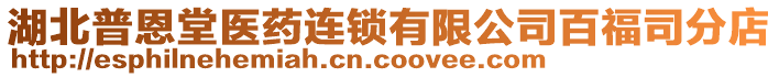 湖北普恩堂醫(yī)藥連鎖有限公司百福司分店