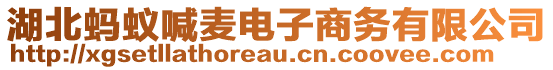 湖北螞蟻喊麥電子商務(wù)有限公司