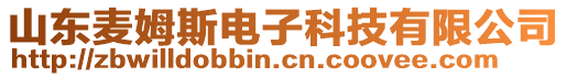 山東麥姆斯電子科技有限公司