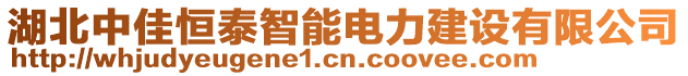 湖北中佳恒泰智能電力建設(shè)有限公司