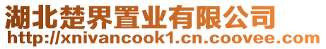 湖北楚界置業(yè)有限公司